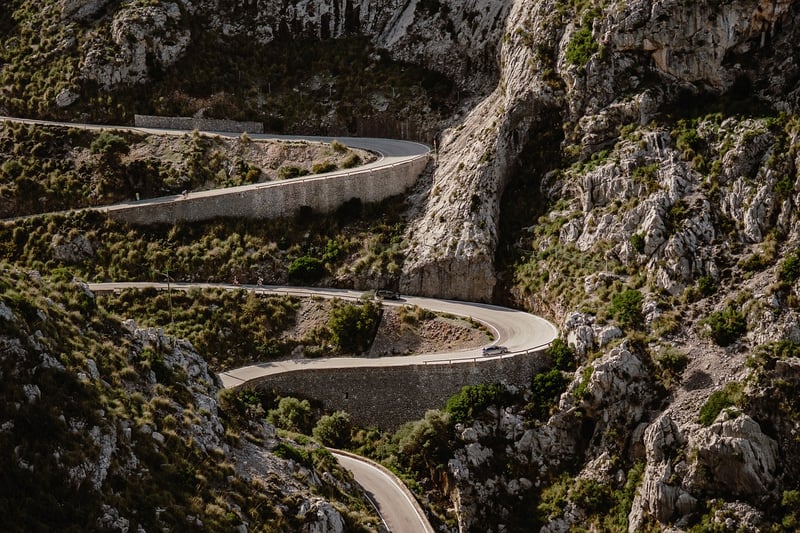 Professional Journey
